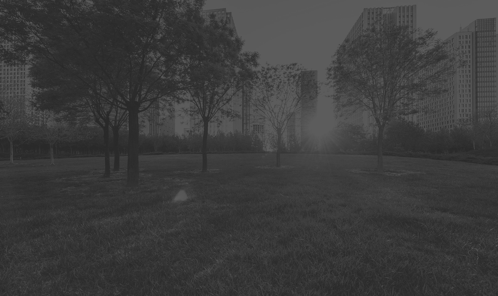 banner-image