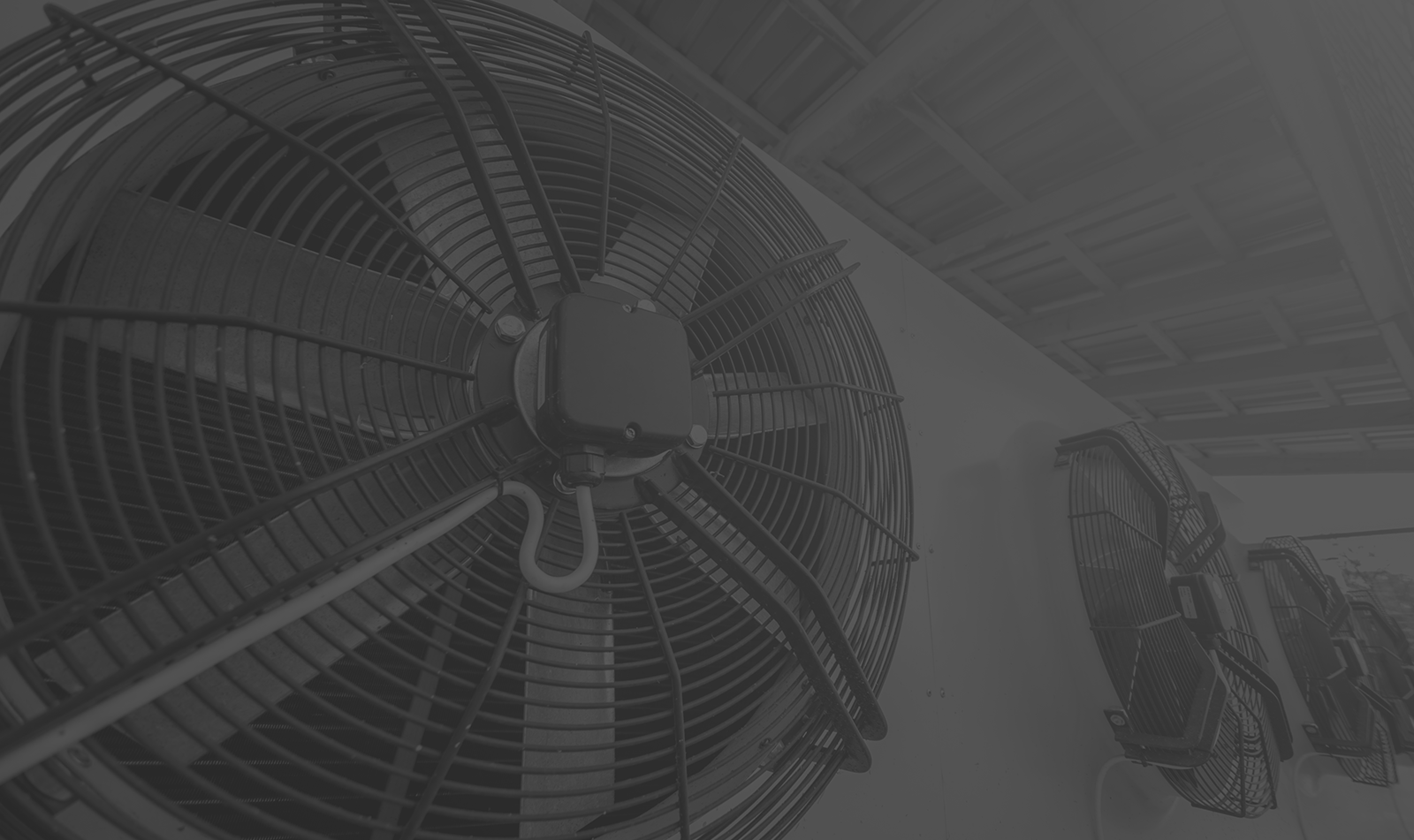 banner-image