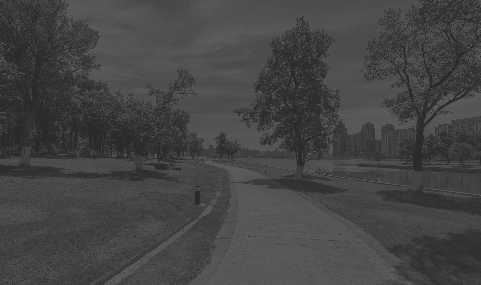 banner-image