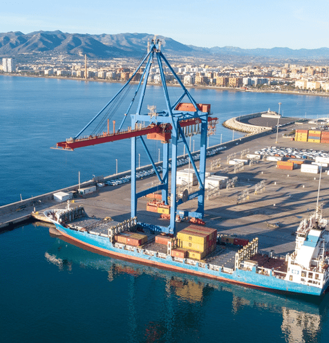 Geopolitical and<br> global market dynamics