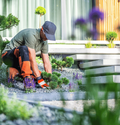 Urban Design and Landscape